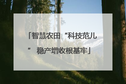 智慧农田“科技范儿” 稳产增收根基牢