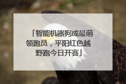 智能机器狗成最萌领跑员，平阳红色越野跑今日开赛