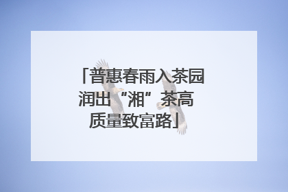 普惠春雨入茶园 润出“湘”茶高质量致富路