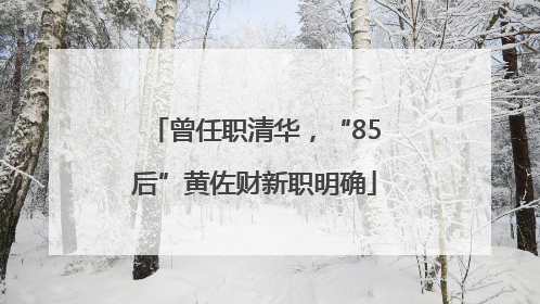 曾任职清华，“85后”黄佐财新职明确