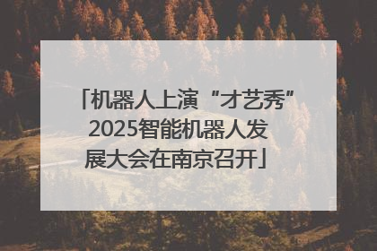 机器人上演“才艺秀” 2025智能机器人发展大会在南京召开