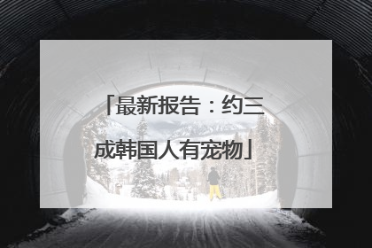 最新报告：约三成韩国人有宠物