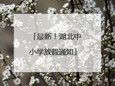 最新！湖北中小学放假通知