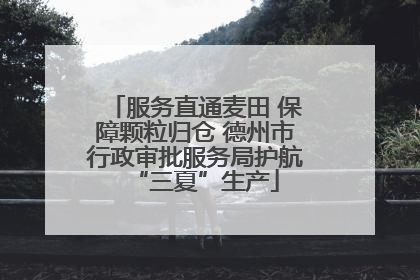 服务直通麦田 保障颗粒归仓 德州市行政审批服务局护航“三夏”生产