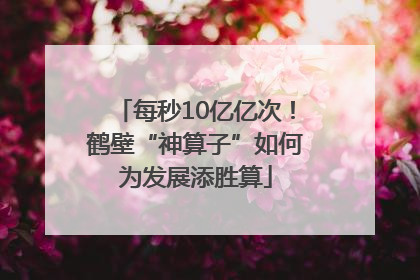 每秒10亿亿次！鹤壁“神算子”如何为发展添胜算