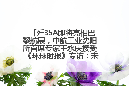 歼35A即将亮相巴黎航展，中航工业沈阳所首席专家王永庆接受《环球时报》专访：未来数量可以有很多