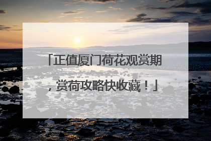 正值厦门荷花观赏期，赏荷攻略快收藏！