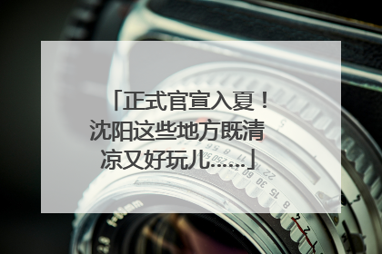 正式官宣入夏！沈阳这些地方既清凉又好玩儿……