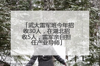 武大雷军班今年招收30人，在湖北招收5人，雷军亲自担任产业导师