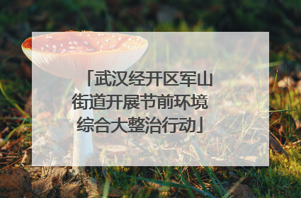 武汉经开区军山街道开展节前环境综合大整治行动