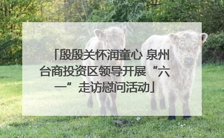 殷殷关怀润童心 泉州台商投资区领导开展“六一”走访慰问活动