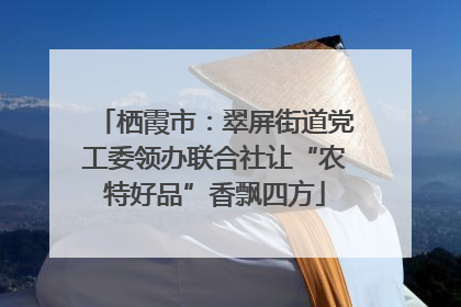 栖霞市：翠屏街道党工委领办联合社让“农特好品”香飘四方