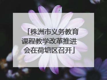株洲市义务教育课程教学改革推进会在荷塘区召开