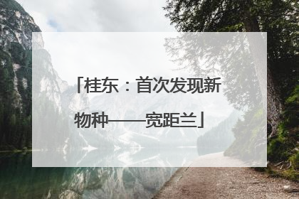 桂东：首次发现新物种——宽距兰