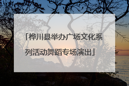 桦川县举办广场文化系列活动舞蹈专场演出