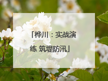 桦川：实战演练 筑堤防汛