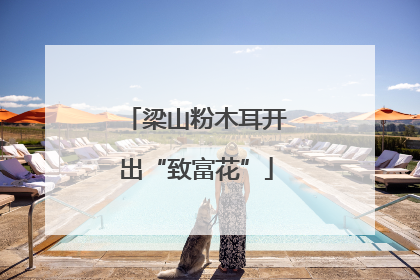 梁山粉木耳开出“致富花”