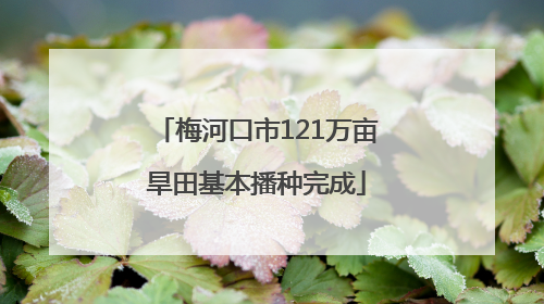 梅河口市121万亩旱田基本播种完成