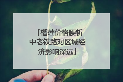 榴莲价格腰斩 中老铁路对区域经济影响深远