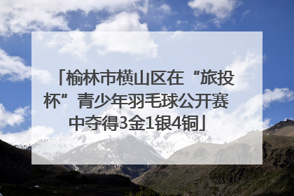 榆林市横山区在“旅投杯”青少年羽毛球公开赛中夺得3金1银4铜