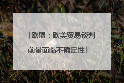 欧盟：欧美贸易谈判前景面临不确定性