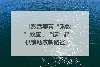激活要素“乘数”效应，“链”起供销助农新路径