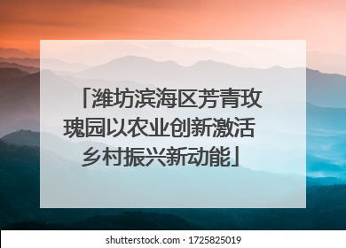 潍坊滨海区芳青玫瑰园以农业创新激活乡村振兴新动能