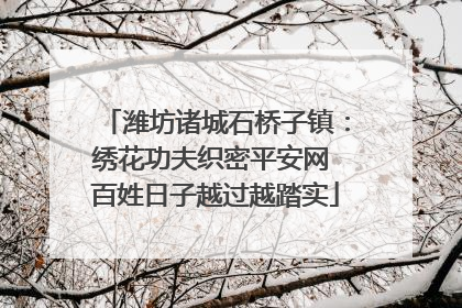 潍坊诸城石桥子镇：绣花功夫织密平安网 百姓日子越过越踏实