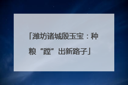 潍坊诸城殷玉宝：种粮“蹚”出新路子