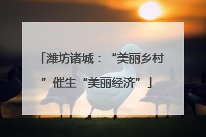 潍坊诸城：“美丽乡村”催生“美丽经济”