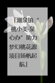 潮泉镇“桃小美·泉心办”助力梦幻桃花源项目扬帆起航