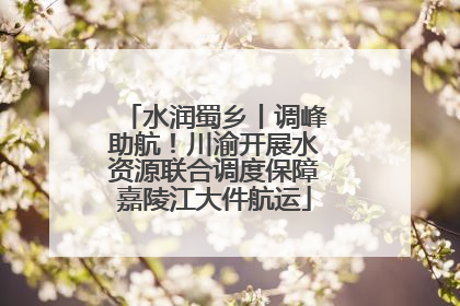 水润蜀乡丨调峰助航！川渝开展水资源联合调度保障嘉陵江大件航运