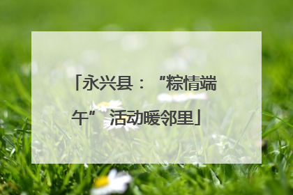 永兴县：“粽情端午” 活动暖邻里