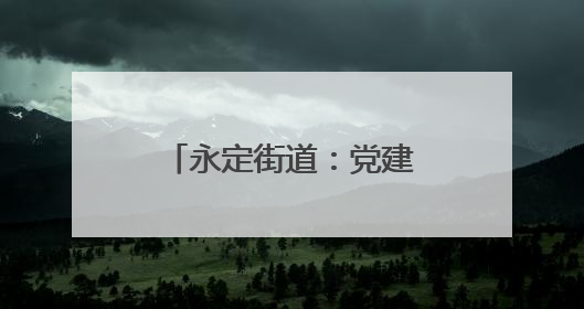 永定街道：党建引领聚合力，清淤排险护家园