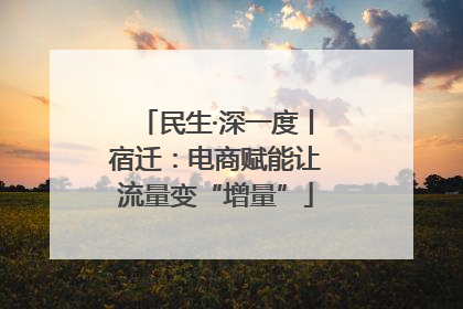 民生·深一度丨宿迁：电商赋能让流量变“增量”