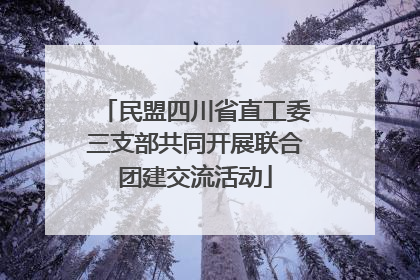 民盟四川省直工委三支部共同开展联合团建交流活动