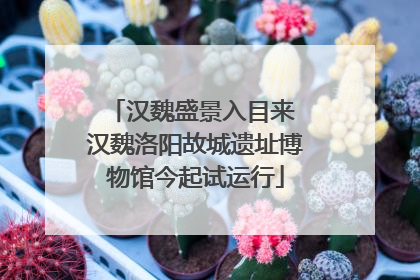 汉魏盛景入目来 汉魏洛阳故城遗址博物馆今起试运行