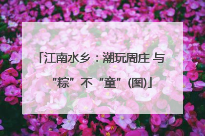 江南水乡：潮玩周庄 与“粽”不“童”(图)