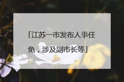 江苏一市发布人事任免，涉及副市长等