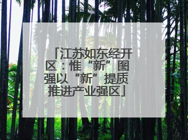 江苏如东经开区：惟“新”图强以“新”提质推进产业强区