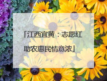 江西宜黄：志愿红助农惠民情意浓