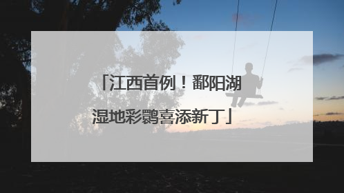 江西首例！鄱阳湖湿地彩鹮喜添新丁