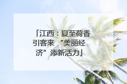 江西：夏至荷香引客来 “美丽经济”添新活力