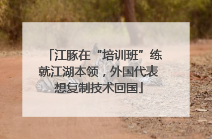 江豚在“培训班”练就江湖本领，外国代表想复制技术回国