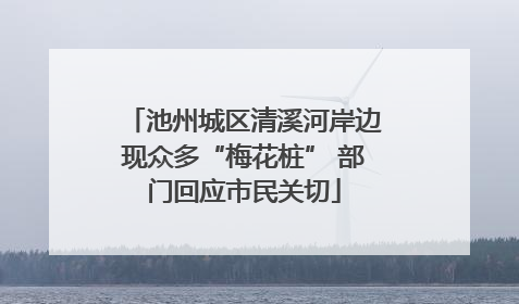 池州城区清溪河岸边现众多“梅花桩” 部门回应市民关切