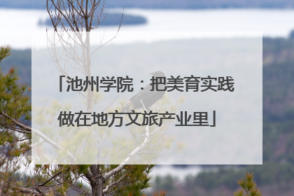 池州学院：把美育实践做在地方文旅产业里