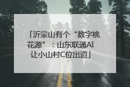 沂蒙山有个“数字桃花源”：山东联通AI让小山村C位出道