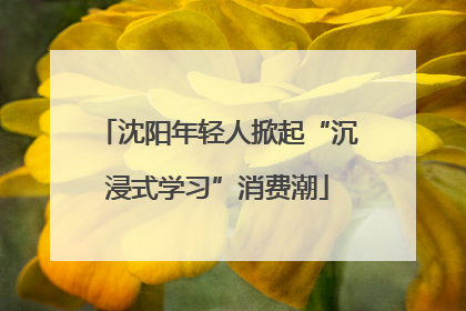 沈阳年轻人掀起“沉浸式学习”消费潮