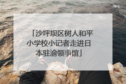 沙坪坝区树人和平小学校小记者走进日本驻渝领事馆