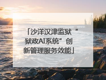 沙洋汉津监狱“狱政AI系统”创新管理服务效能